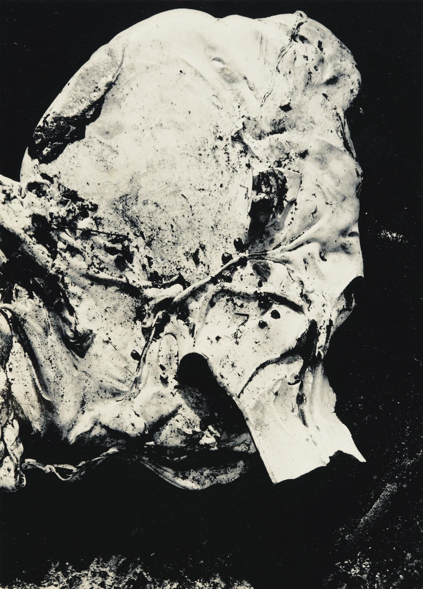 Cestmir Kratky - Animals\'