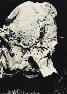 Cestmir Kratky - Animals\'