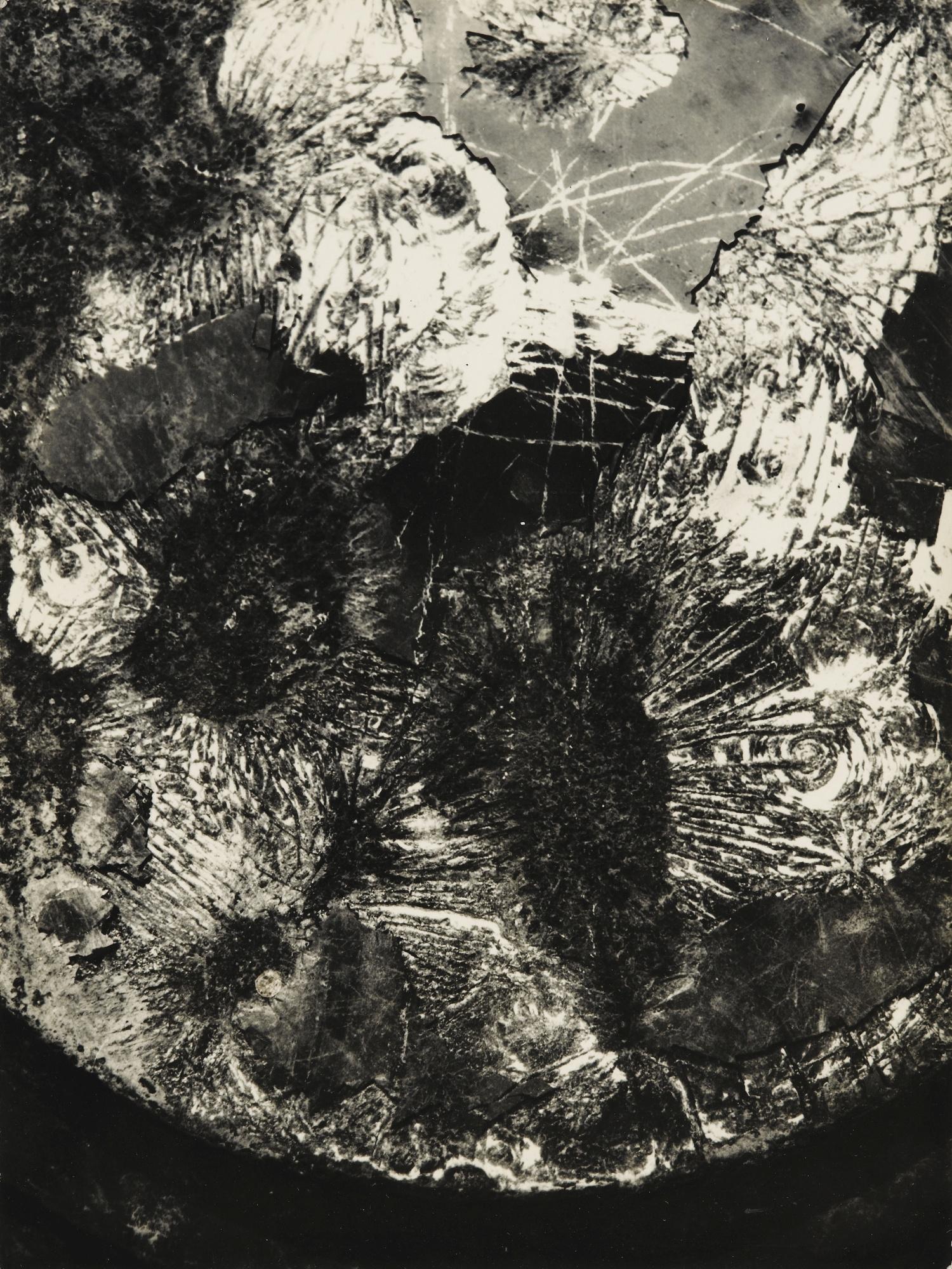 Cestmir Kratky - Circuli Mortui\'