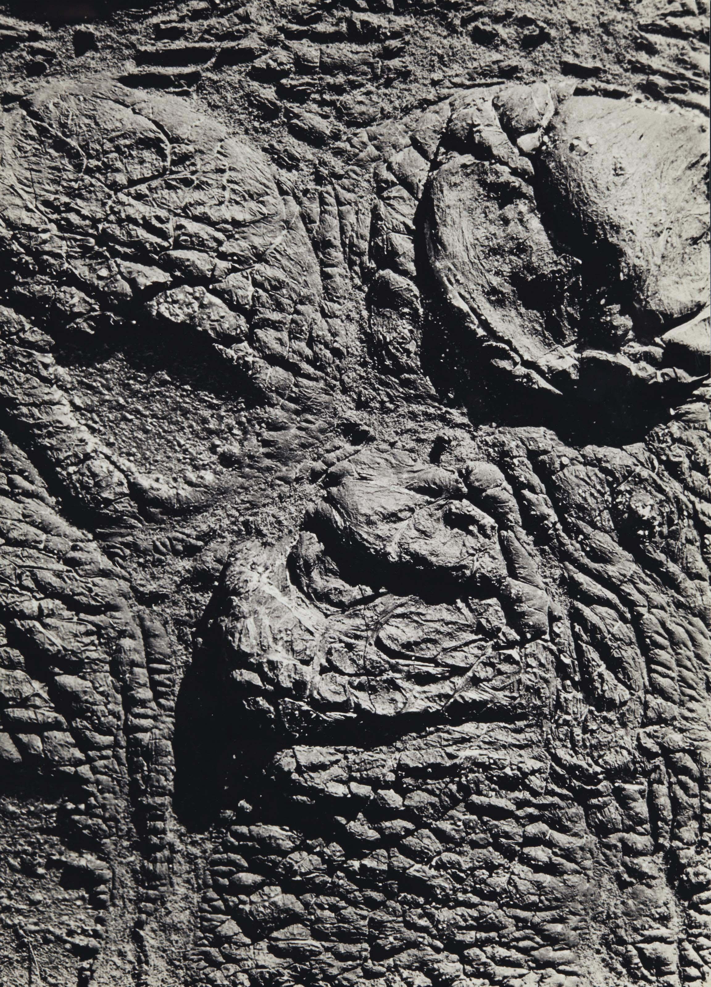 Cestmir Kratky - Resplendant Face, 1963