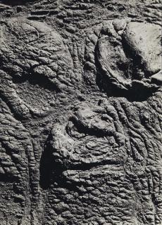 Cestmir Kratky - Resplendant Face, 1963