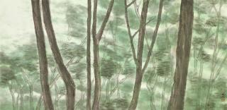 Chan Tin Boo - Forest