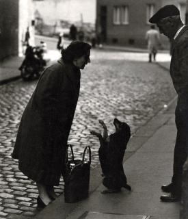 Chargesheimer - »De Möp«