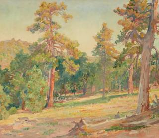 Charles A. Fries - Early Morning, Laguna Mountains