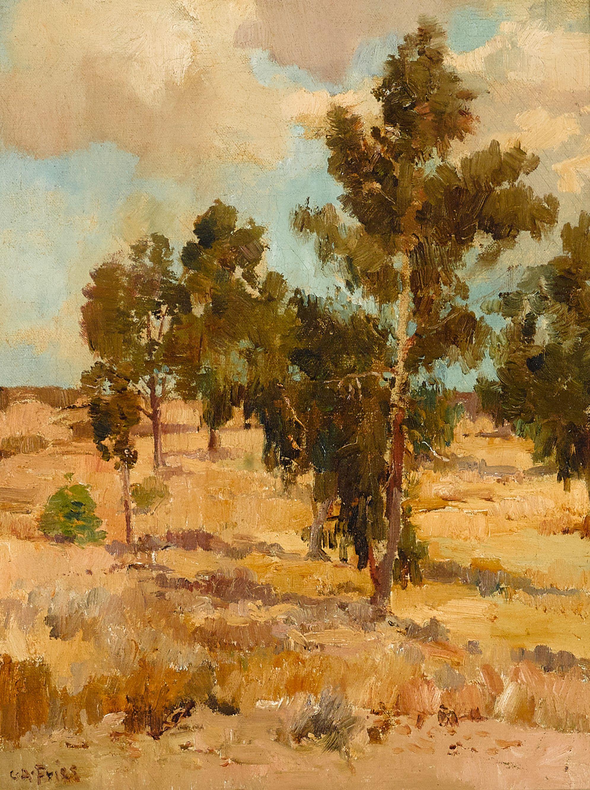 Charles A. Fries - Eucalyptus Grove - Balboa Park before the Exposition