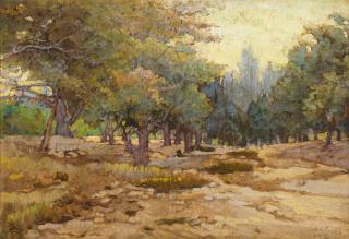 Charles A. Fries - Hills behind San Diego