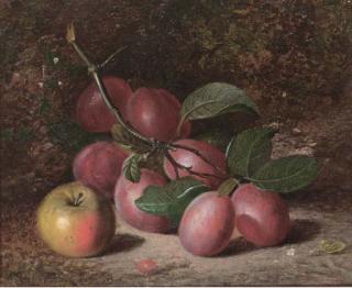 Charles Archer - Plums and an apple, on a mossy bank
