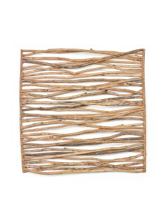 Charles Arnoldi - Links