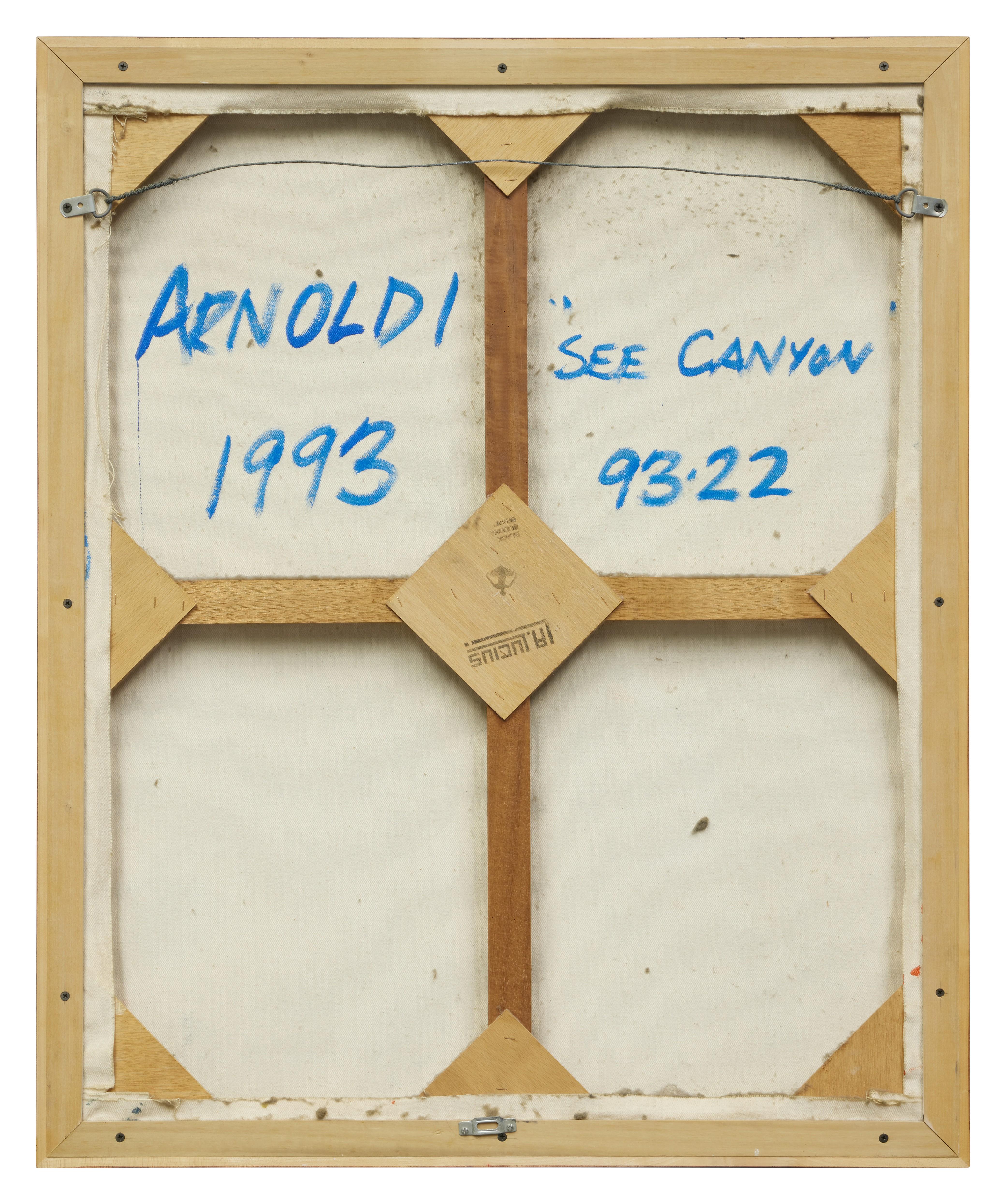 Charles Arnoldi - See Canyon