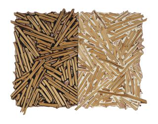 Charles Arnoldi - Untitled