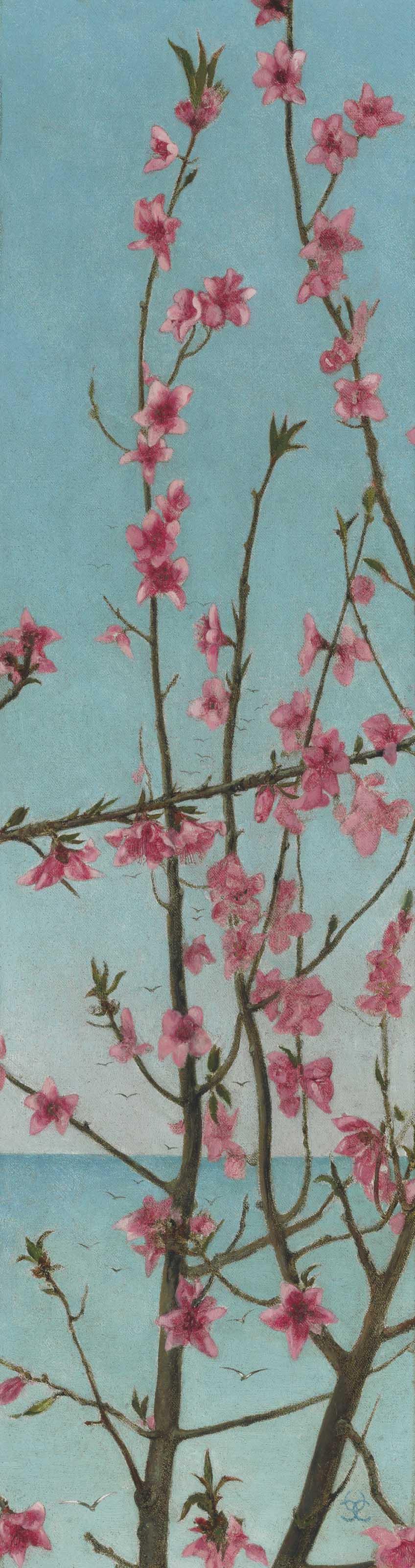 Charles Caryl Coleman - Blossoming Pink Branches