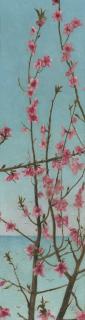 Charles Caryl Coleman - Blossoming Pink Branches