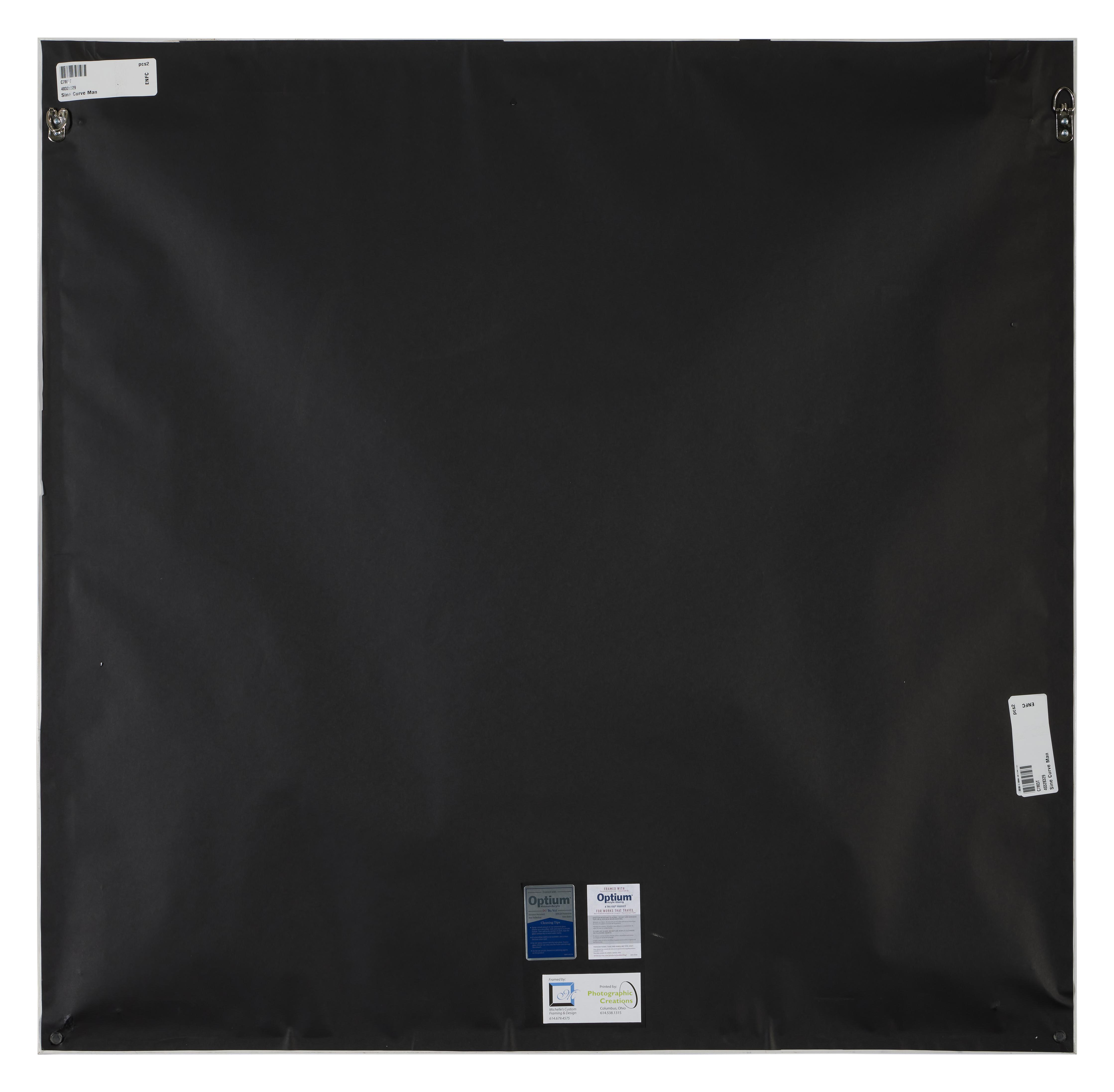 Charles Csuri - Sine Curve Man