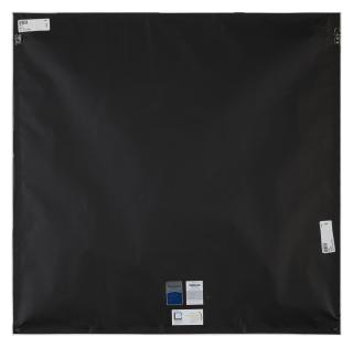 Charles Csuri - Sine Curve Man