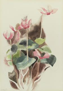 Charles Demuth - Cyclamen