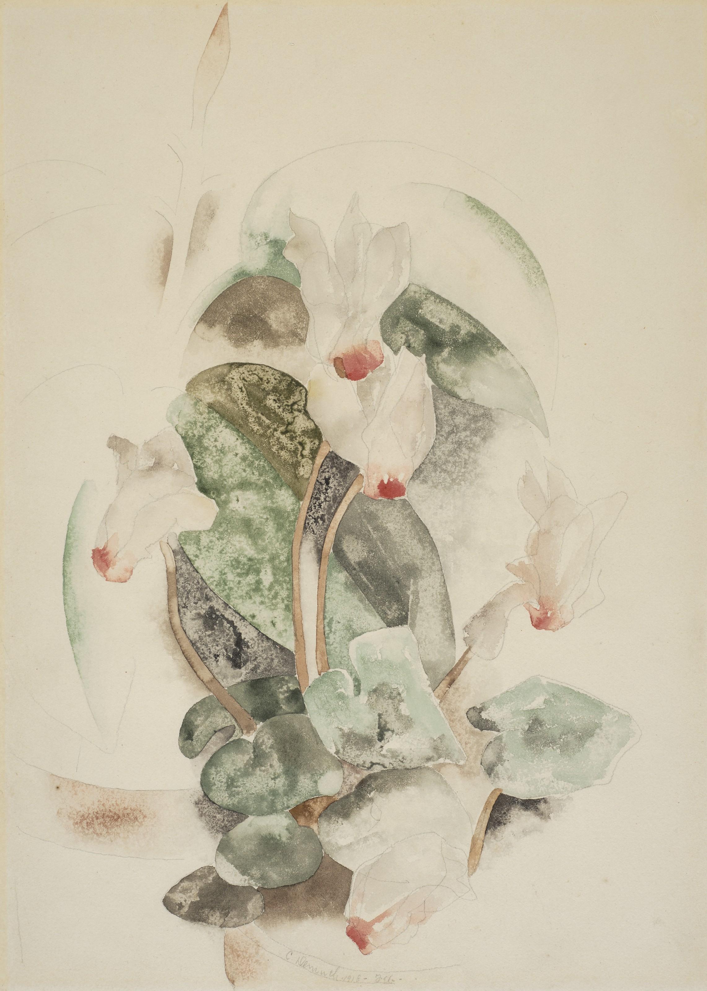 Charles Demuth - Cyclamen