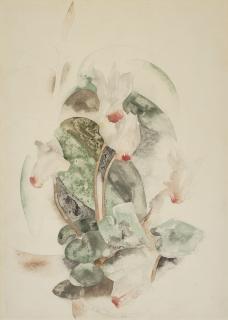 Charles Demuth - Cyclamen