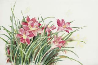 Charles Demuth - Pink Lilies and Butterflies