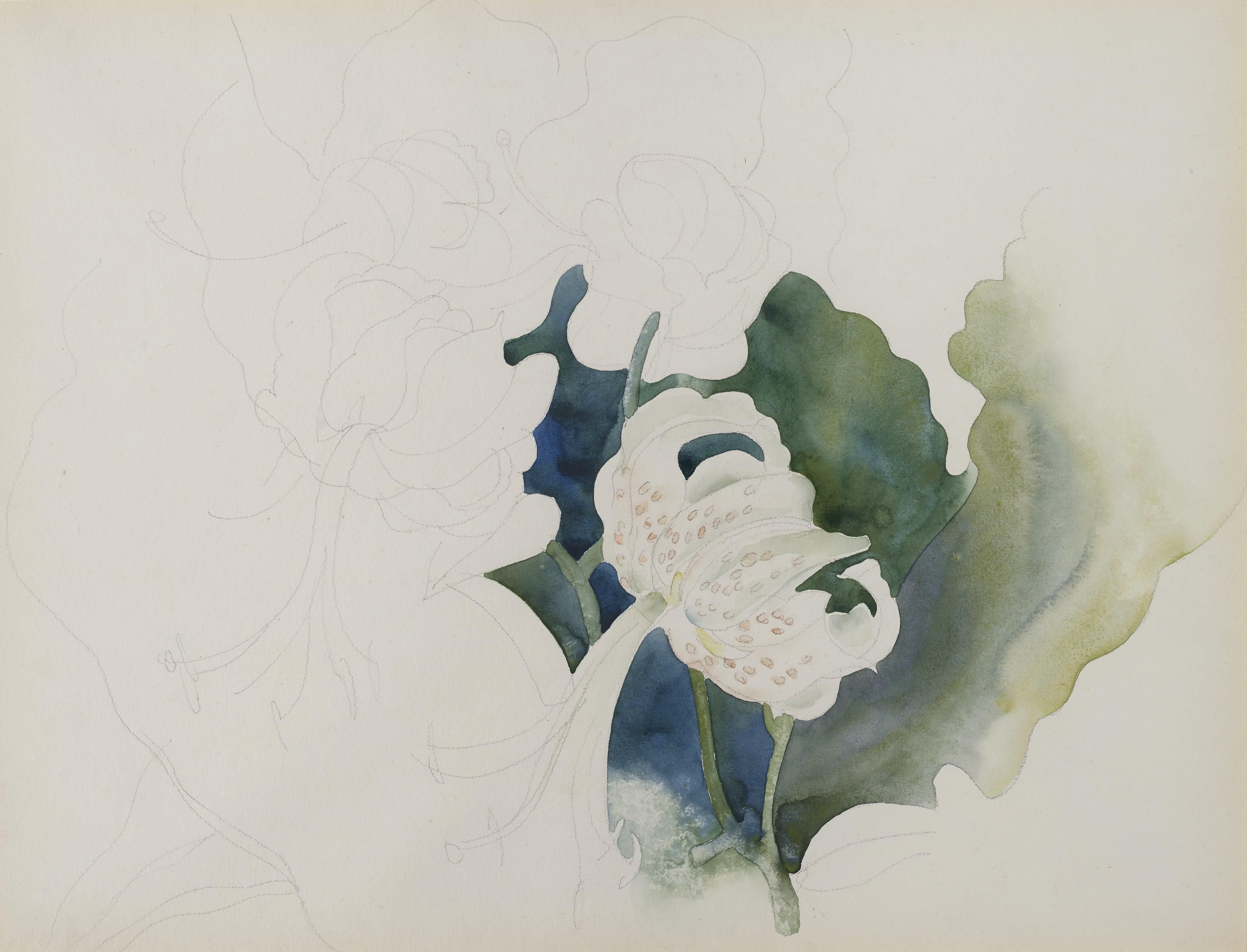 Charles Demuth - Rothschild Lily #2