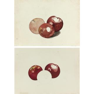 Charles Demuth - Three Red Apples: A Double-Sided Watercolor