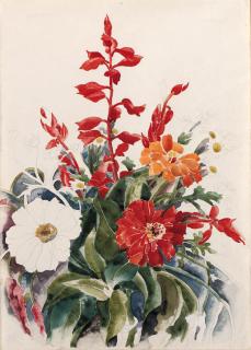 Charles Demuth - Zinnias and Red Salvia