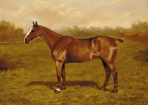 Charles E. Gatehouse - A chestnut hunter in a field