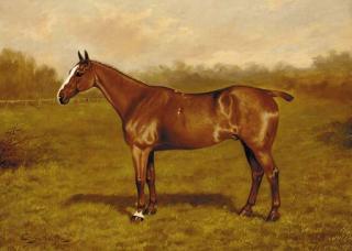 Charles E. Gatehouse - A chestnut hunter in a field