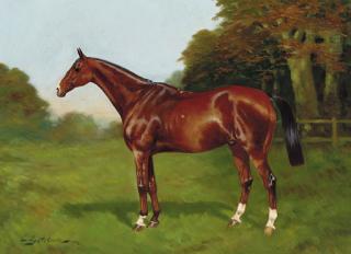 Charles E. Gatehouse - Mon Prince A Chestnut Hunter In A Paddock