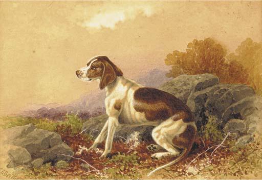Charles Edward Brittan, Snr. - A hound in a landscape; and A seated hound in a landscape
