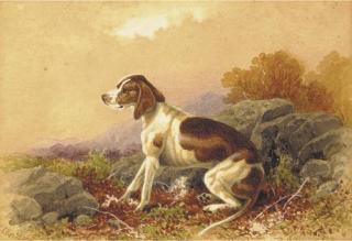 Charles Edward Brittan, Snr. - A hound in a landscape; and A seated hound in a landscape