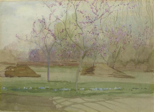 Charles Edward Conder - An Orchard In Blossom
