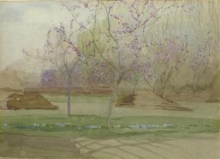 Charles Edward Conder - An Orchard In Blossom