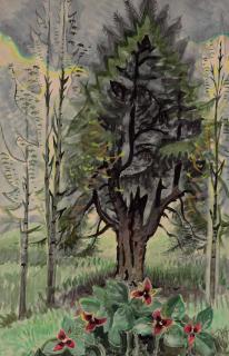 Charles Ephraim Burchfield - Red Trillums and Hemlock