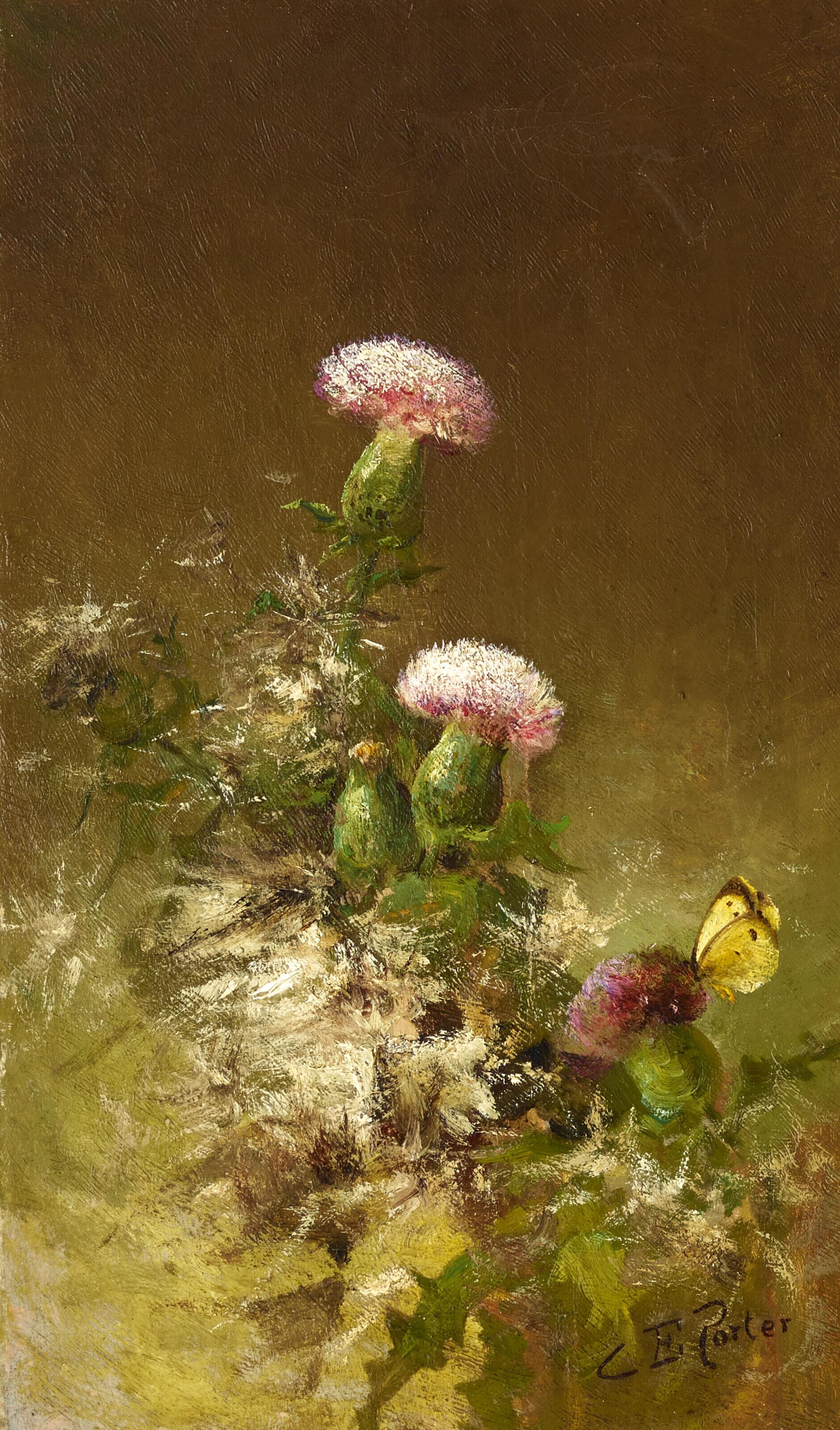 Charles Ethan Porter - Thistles