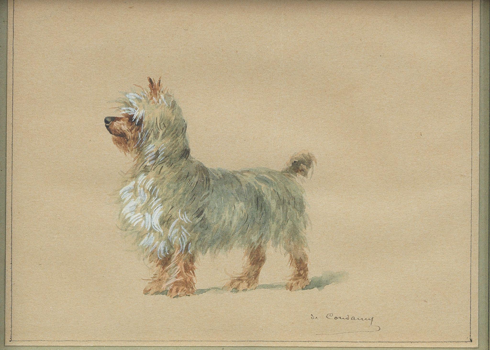 Charles-Fernand De Condamy - A Yorkshire Terrier