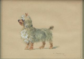 Charles-Fernand De Condamy - A Yorkshire Terrier