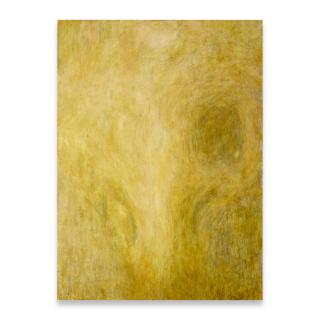 Charles Fine - Eleventh Story, 1985