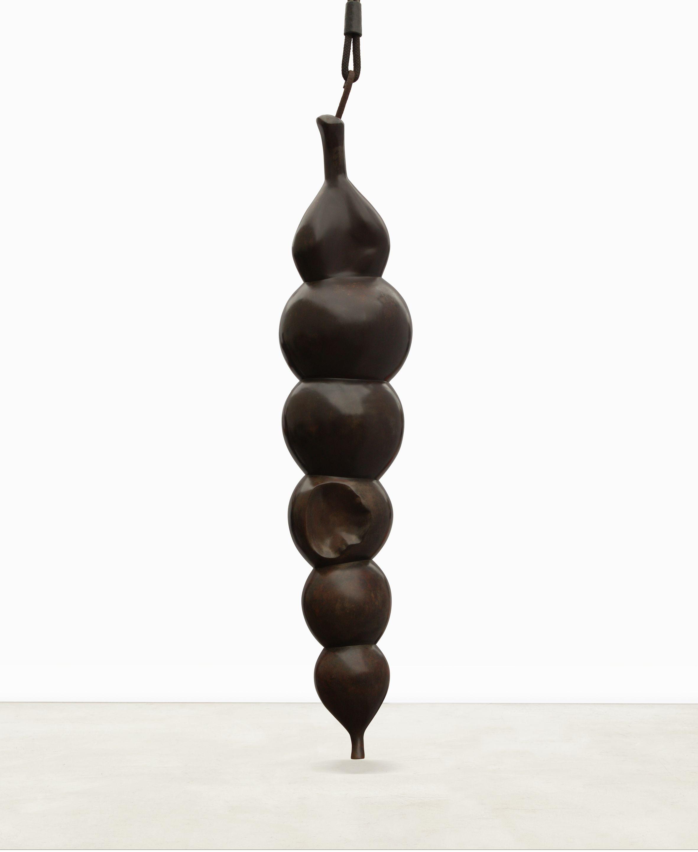 Charles Fine - Hanging Alga, 1988-89