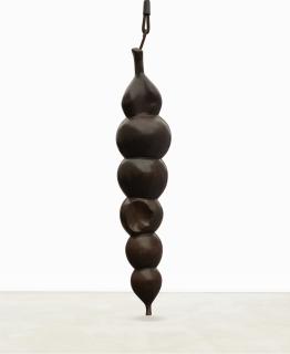Charles Fine - Hanging Alga, 1988-89