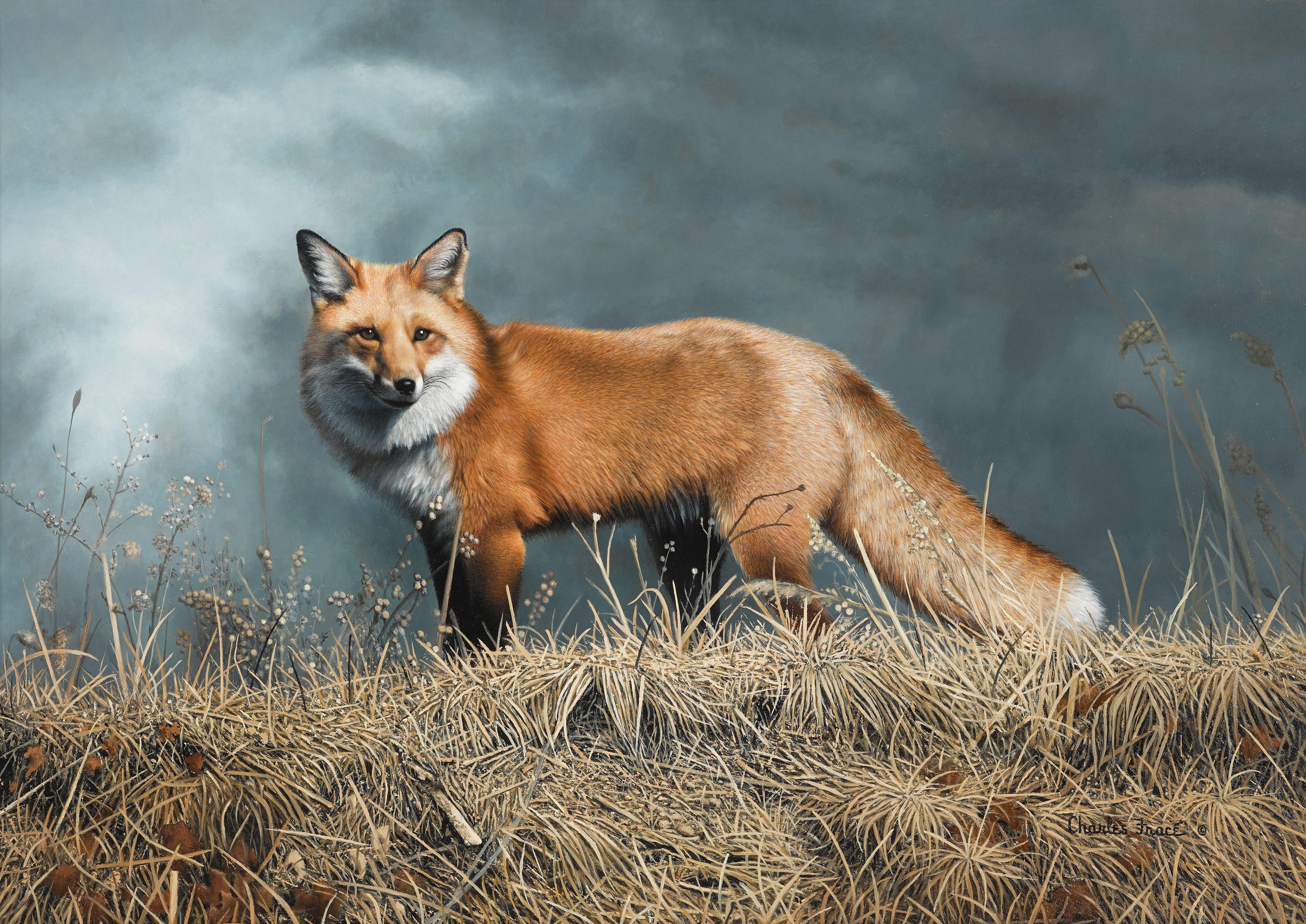 Charles Frace - Red Rascal