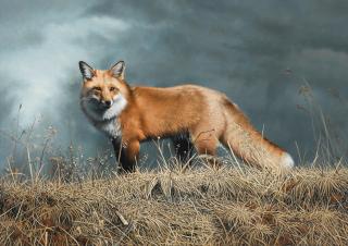 Charles Frace - Red Rascal