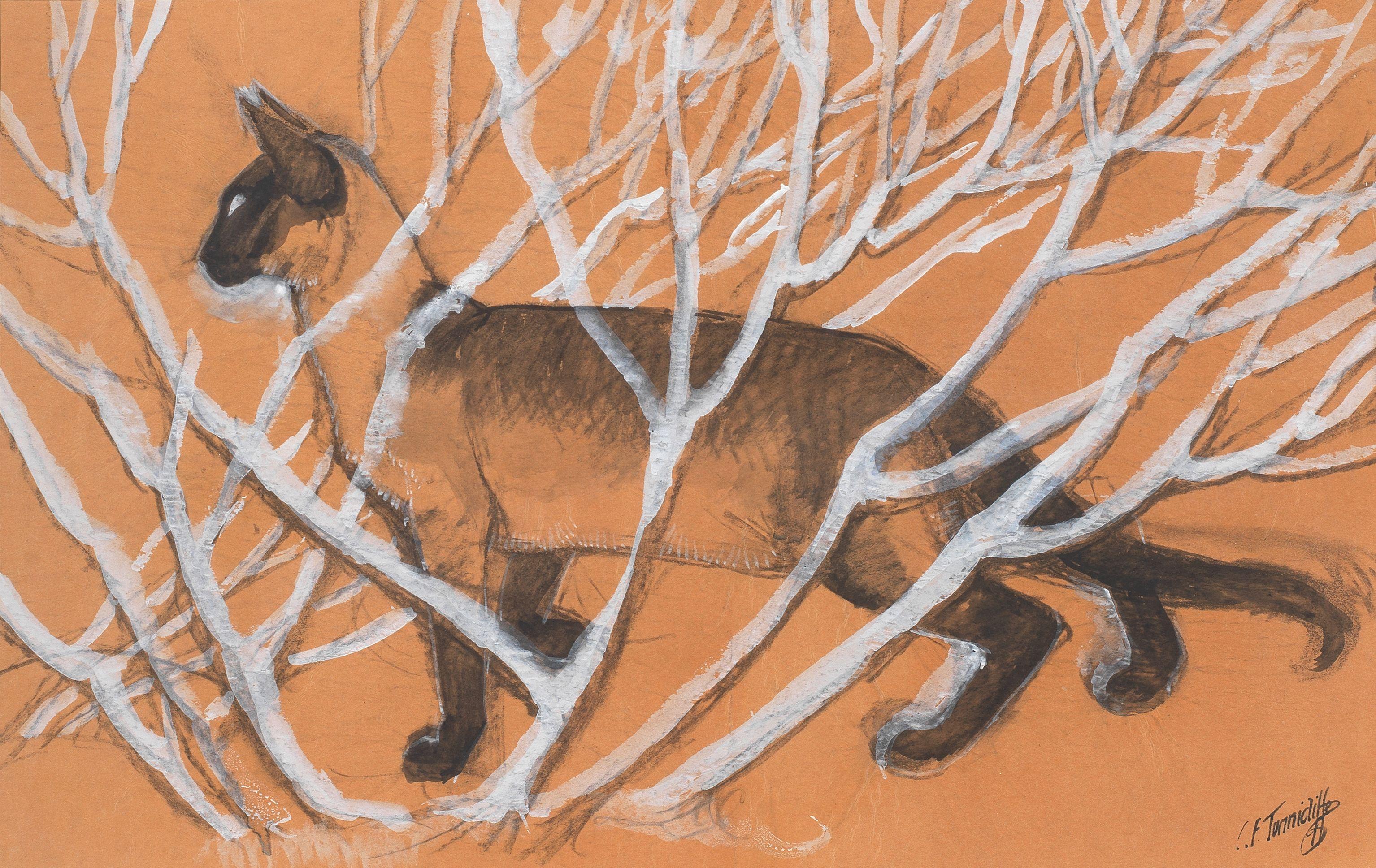 Charles Frederick Tunnicliffe O.B.E., R.A. - Cat Amongst Branches