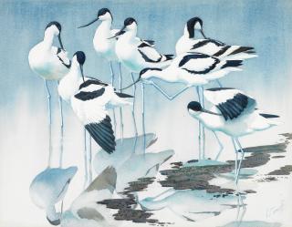 Charles Frederick Tunnicliffe O.B.E., R.A. - Seven Avocets