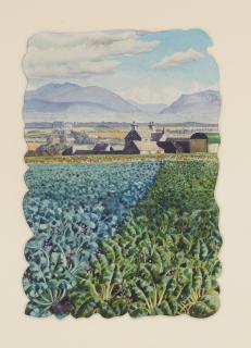 Charles Frederick Tunnicliffe O.B.E., R.A. - Swedes and Mangolds, Anglesey