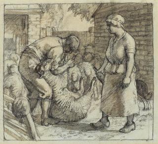 Charles Frederick Tunnicliffe O.B.E., R.A. - The Sheep Shearer
