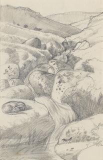 Charles Frederick Tunnicliffe O.B.E., R.A. - The Sleeping Otter