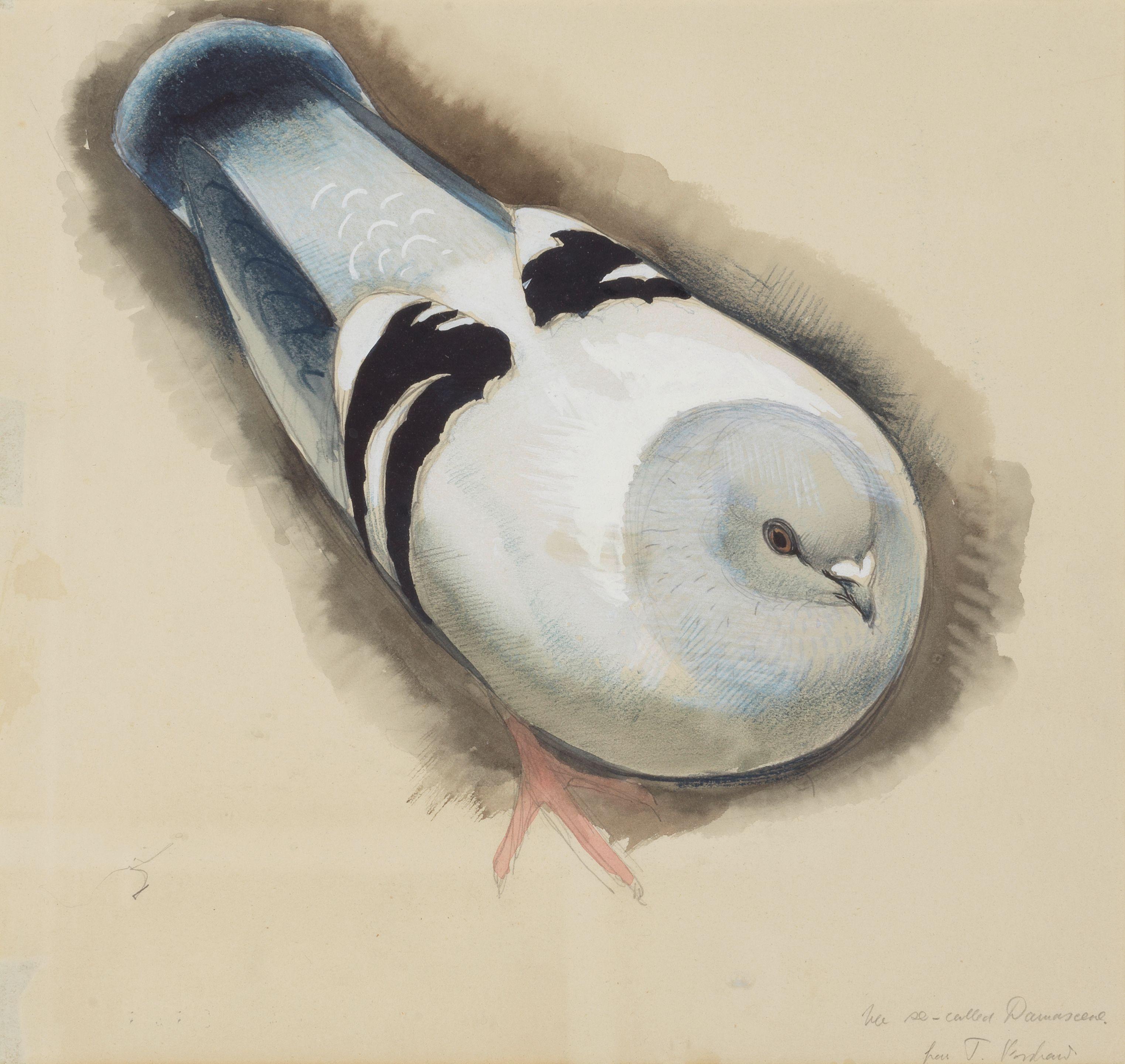 Charles Frederick Tunnicliffe O.B.E., R.A. - The So-Called Damascene