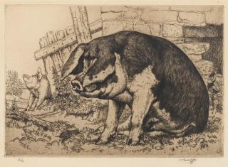 Charles Frederick Tunnicliffe O.B.E., R.A. - The Spotted Sow; To the Slaughter