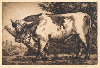 Charles Frederick Tunnicliffe O.B.E., R.A. - The Thief; The Stallion