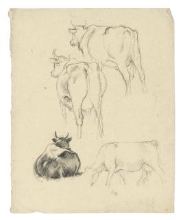 Charles Frederick Tunnicliffe, R.A. - A collection of studies of animals, including cows, horses and cats